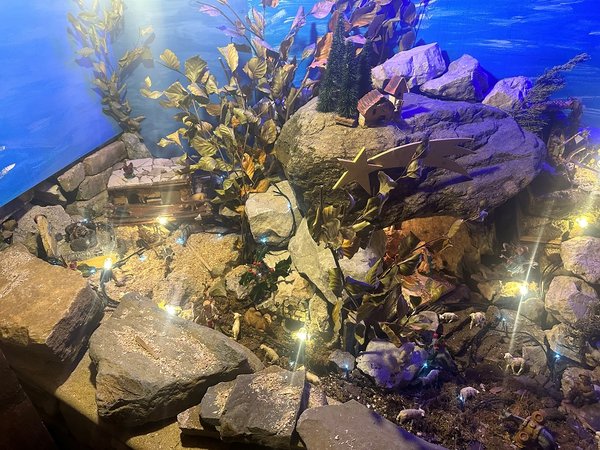 BUJA_URBIGNACCO 3 rid