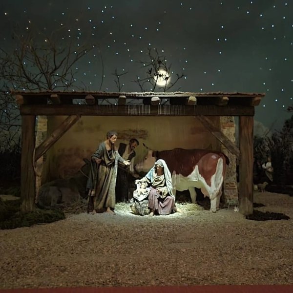 IMG_20250128_012824_550