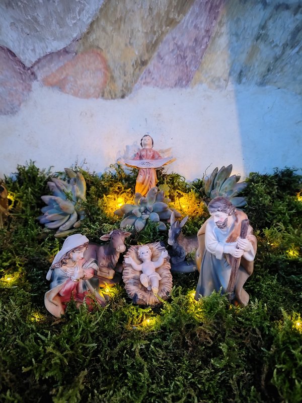 IMG_20251130_165047054