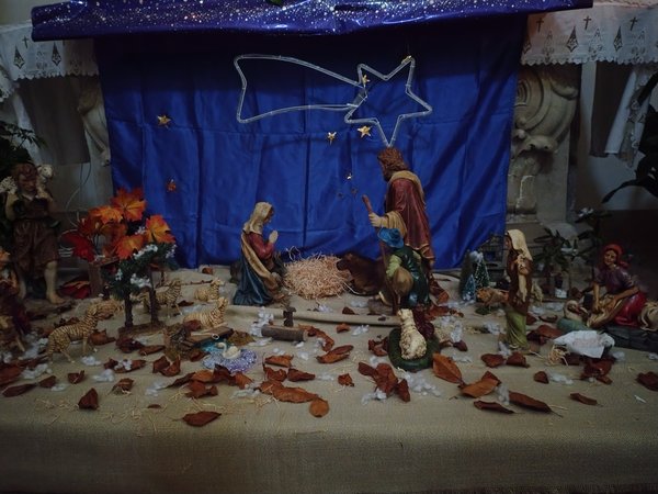 IMG_20251214_161615627_HDR