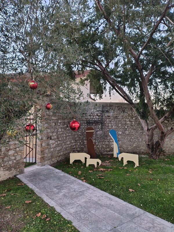 IMG_20251214_162037110_HDR