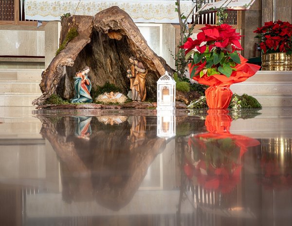 MOGGIO UDINESE_RASSEGNA_FOTO DENIS MOLINARI (8)